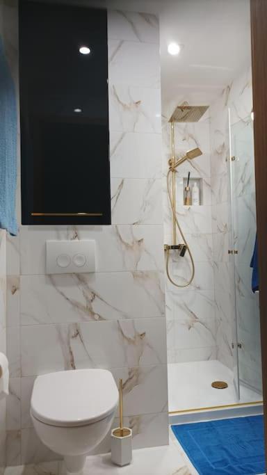 Sztygara Apartment Mikolow