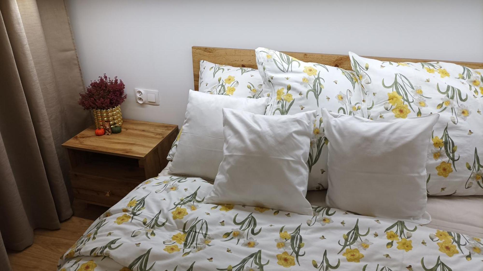 Apartment Sztygara Mikolow